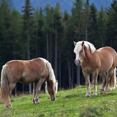 ホテル ツム ユンゲン レｰマー 4*
