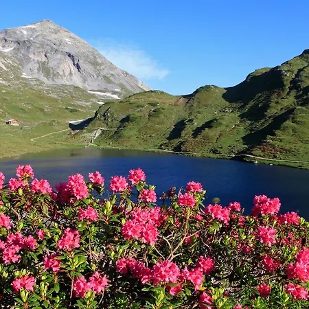 ツム ユンゲン レｰマー ラートシュタット