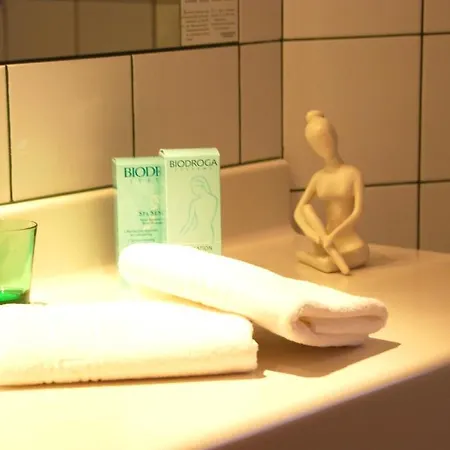 Hotel Zum Jungen Romer 4*